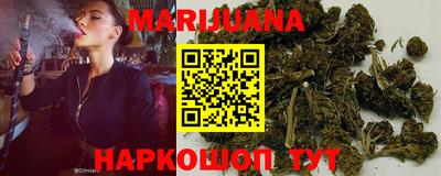 индика Гусиноозёрск